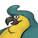 krauttheparrot