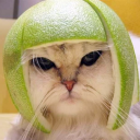 leland0001#3514's avatar