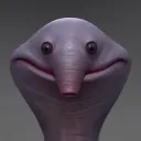 cc_1010