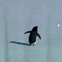 checkmate_m8