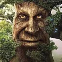 alcqblengel avatar
