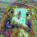 hawkward_art