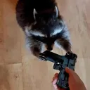 tiltmesenpai
