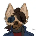 hanswoofington