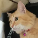 madcat2465