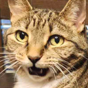 avatar MidnightMeatball