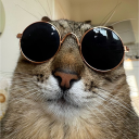 avatar MidnightMeatball