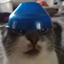 aww