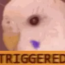 gorpgurk