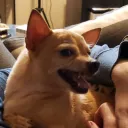 smokeydragon