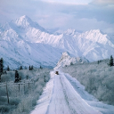 avatar 🍓🌧️🪲