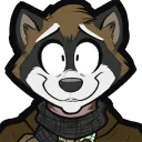 drraccoony