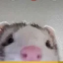 oosmus