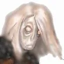 aleristheseeker