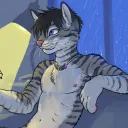 sorin_kat