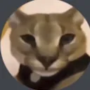 .smolwolf