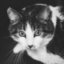 avatar ‡•Çåšê¥•‡