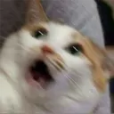 arizaka