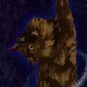 alleecatblues