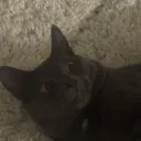 cookiecomas