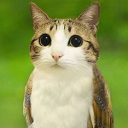 avatar MetatableIndex