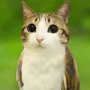 metatableindex