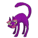 jack_66074