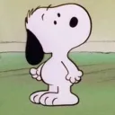 mrfluffyz avatar
