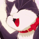 petite_cat