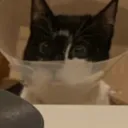 tom_meka
