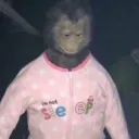 m.ph