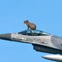 dangercapy