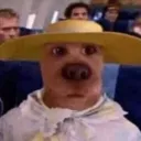 oobabyt