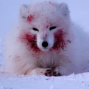 avatar SupernaturalSniper