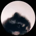 xombiepunk