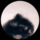 xombiepunk