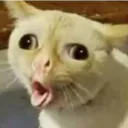 slurmp6249