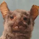 darkstar_btw