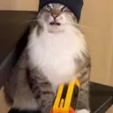 bobtheloser1