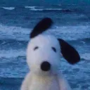 raykrz