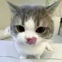 _peel