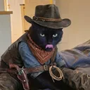 sir.tiddles