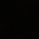 voida_tim
