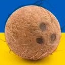 coconut8021