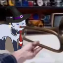 kiwiburd