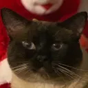 kikiisyourfriend