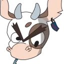 mooboxer