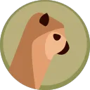 irishsnipar