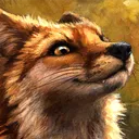 aurea_fox