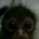 ohfucc